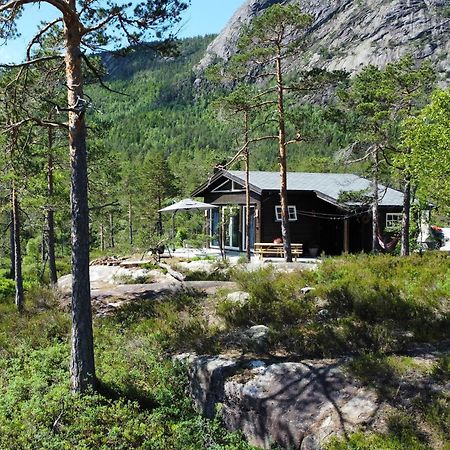 Cosy Cabin Between Lake And Mountain Treungen Exterior photo
