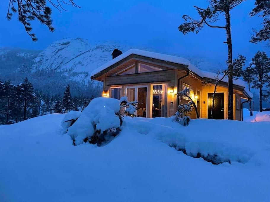 Cosy Cabin Between Lake And Mountain Treungen Exterior photo