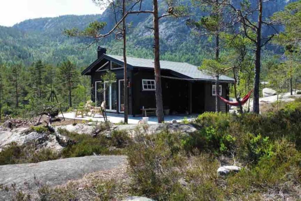Cosy Cabin Between Lake And Mountain Treungen Exterior photo