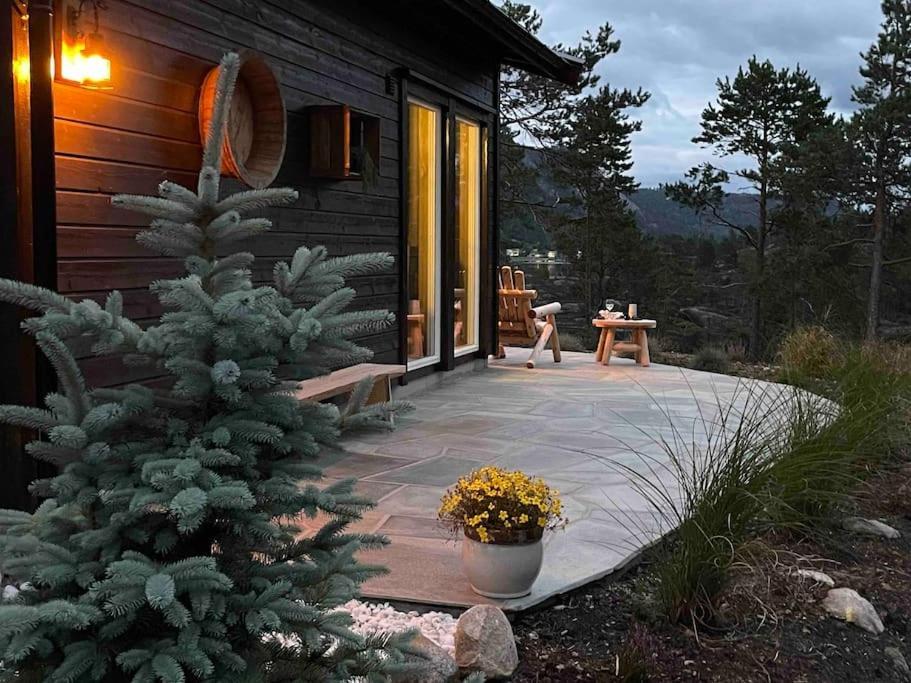 Cosy Cabin Between Lake And Mountain Treungen Exterior photo