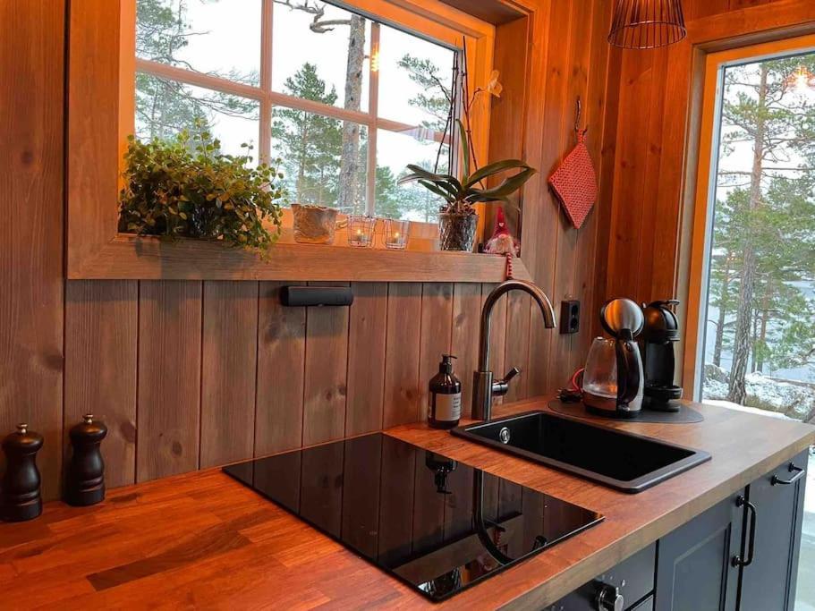Cosy Cabin Between Lake And Mountain Treungen Exterior photo
