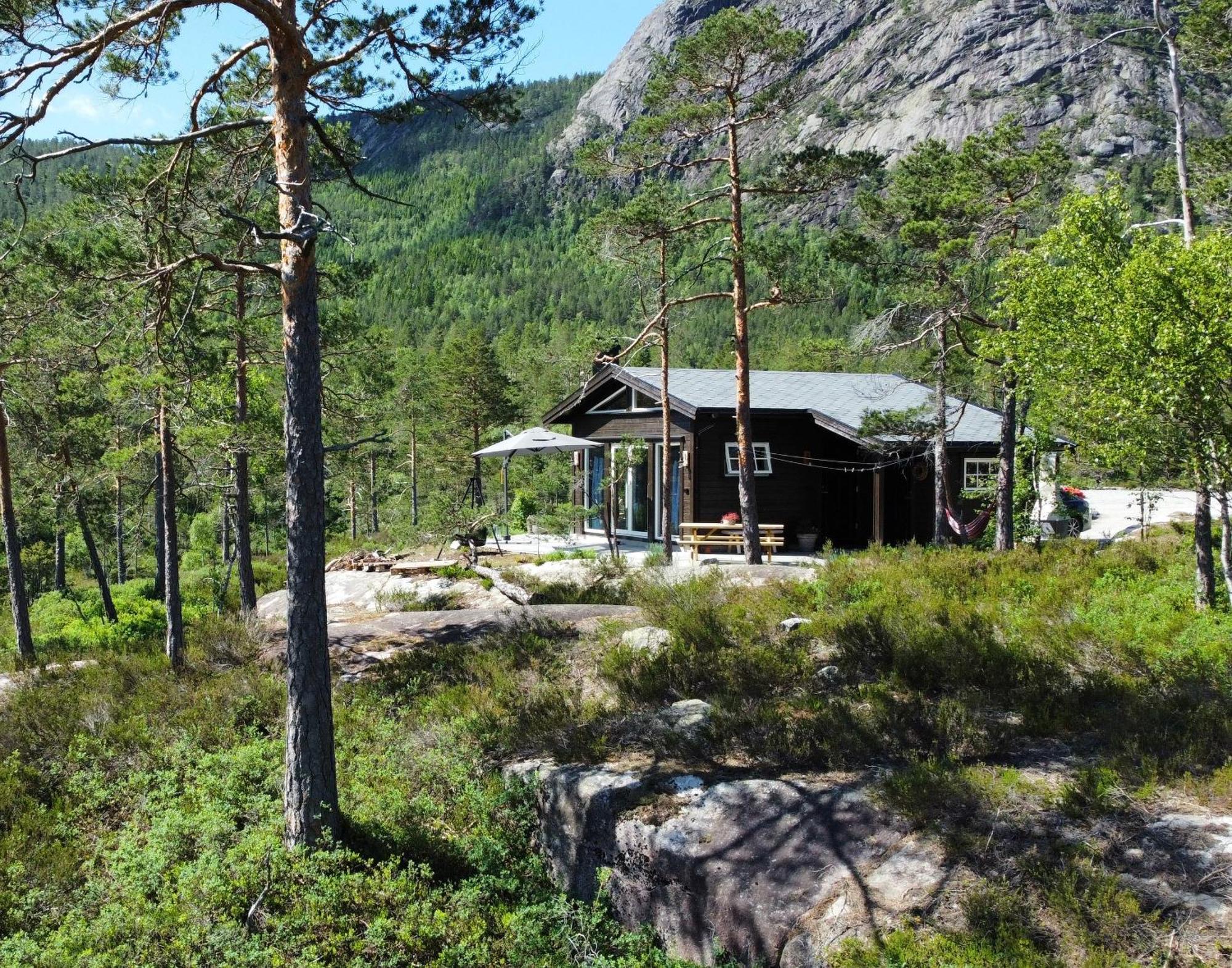 Cosy Cabin Between Lake And Mountain Treungen Exterior photo